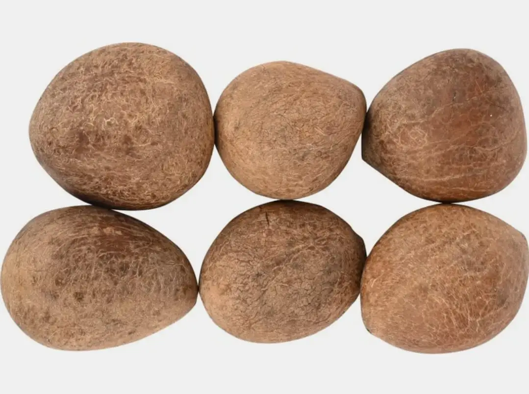 Dry Coconut सूखा नारियल 200 gm